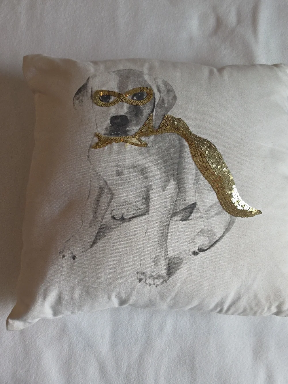 Decorative Puppy Mask & Cape Pillow - Gold Accent
